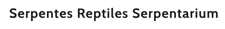 Serpentes Reptiles Serpentarium