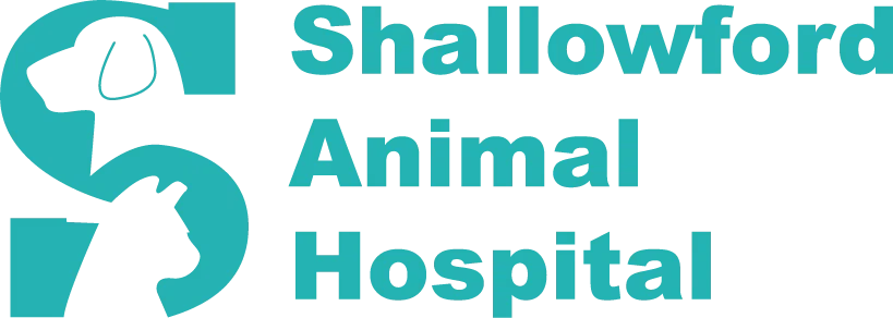 Shallowford Animal Hospital