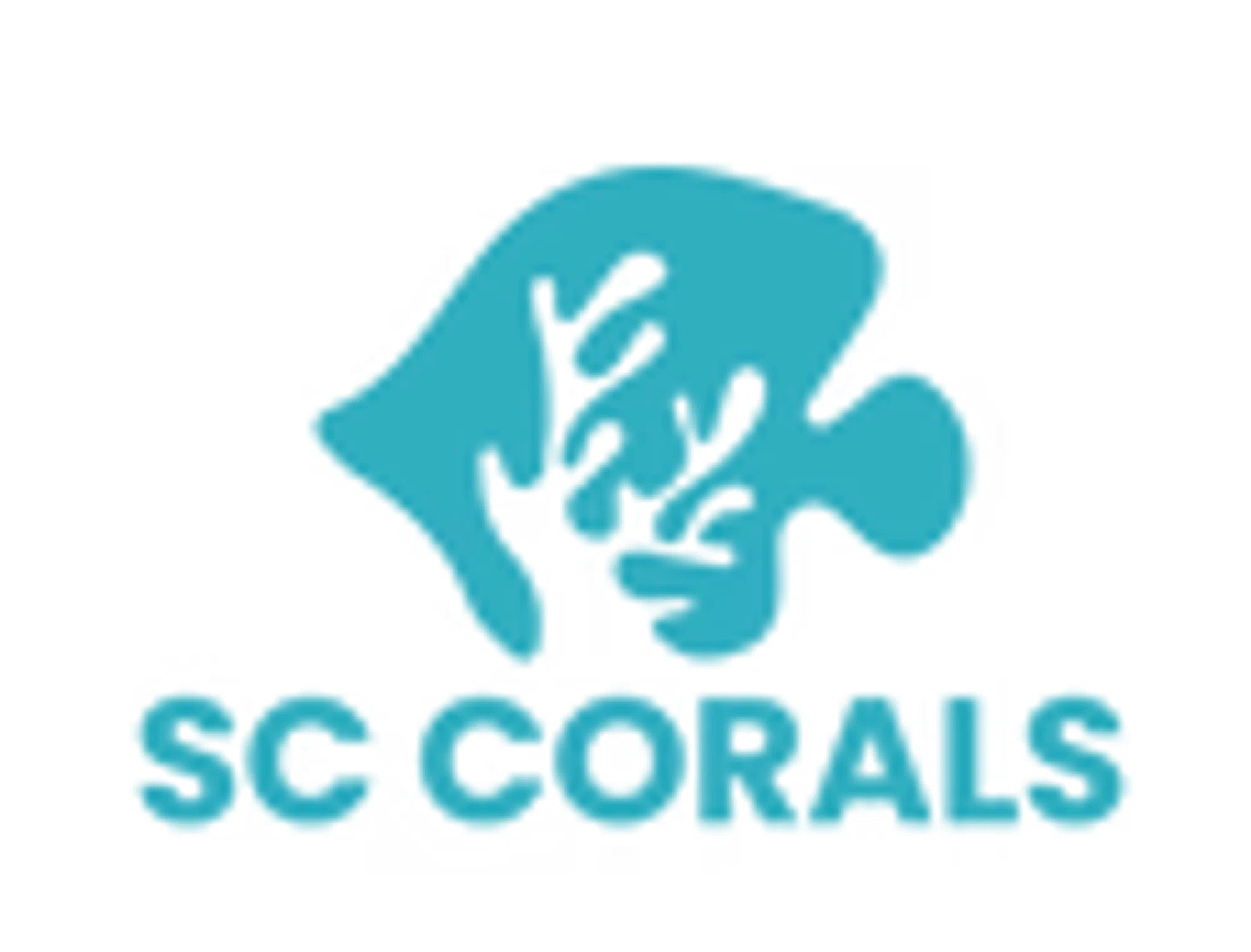 Shipwreck Cove Corals