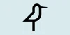 Shorebird