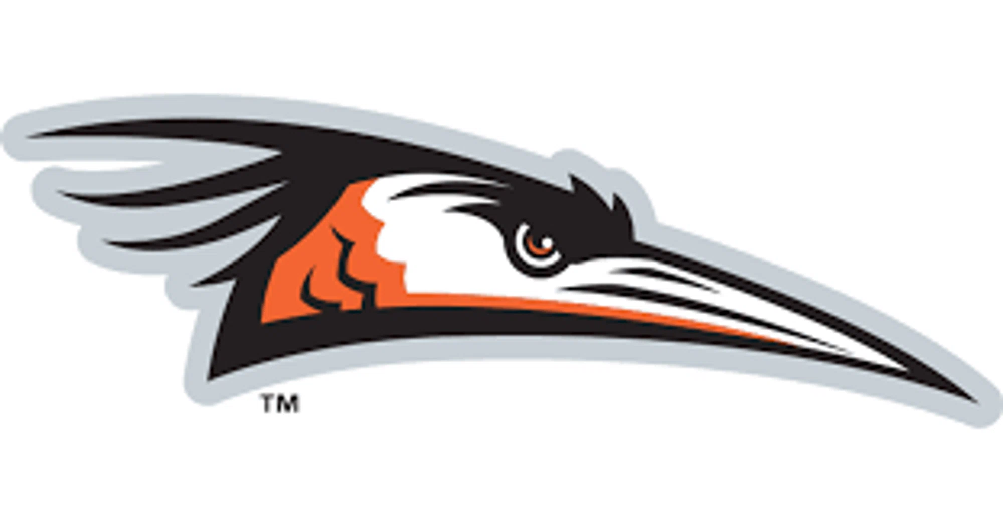 Delmarva Shorebirds