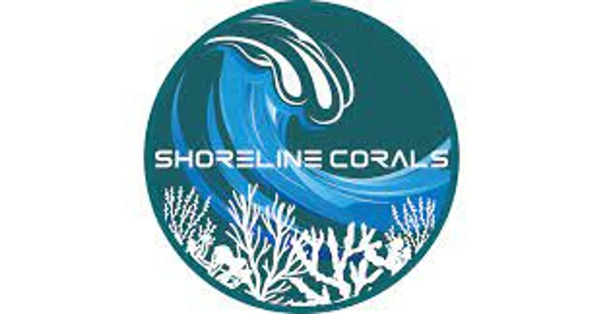 Shoreline Corals