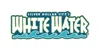 Silver Dollar City's White Water
