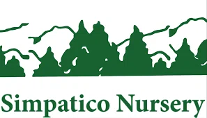 Simpático Nursery