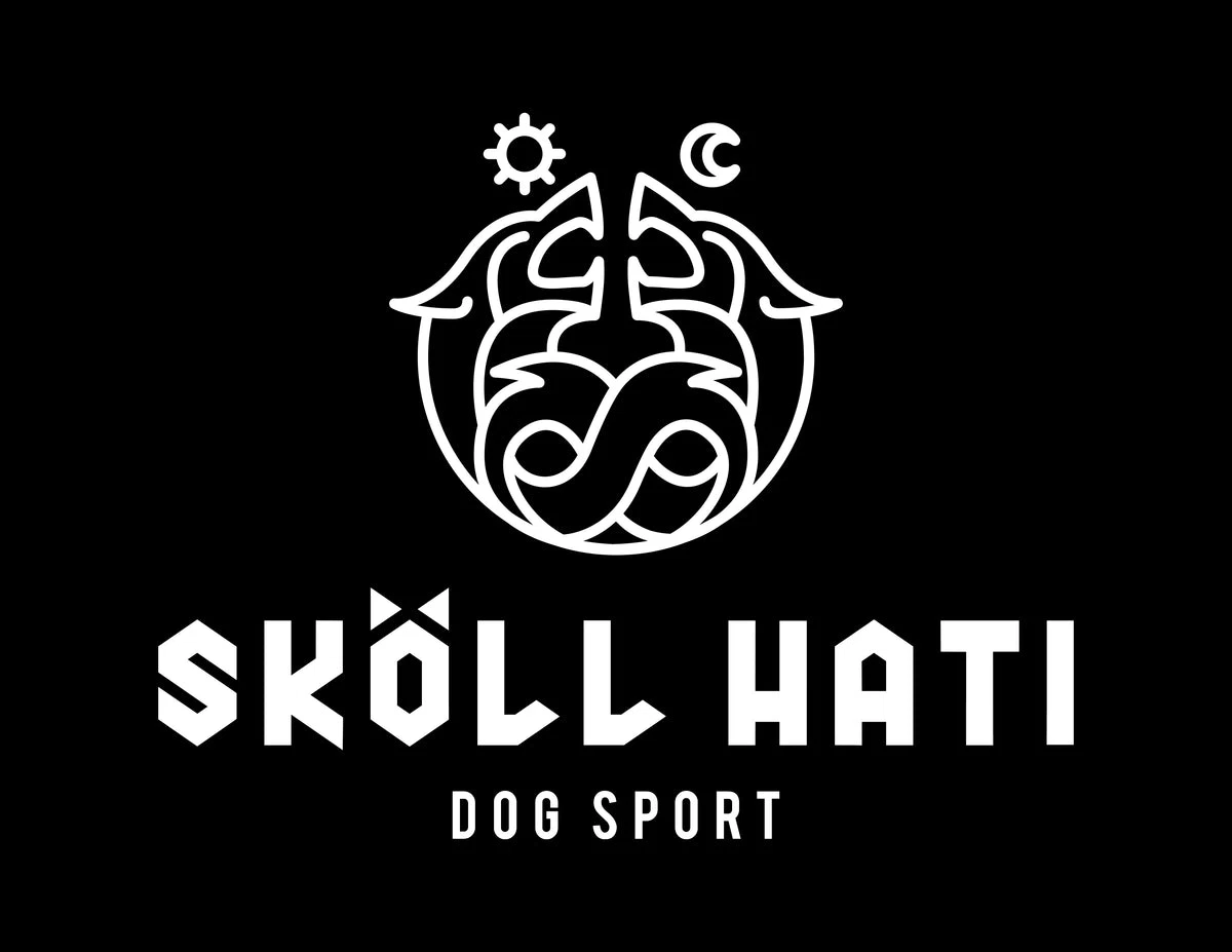 Skollhati
