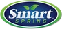 Smart Spring