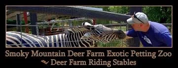 Smoky Mountain Deer Farm