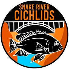 Snake River Cichlids