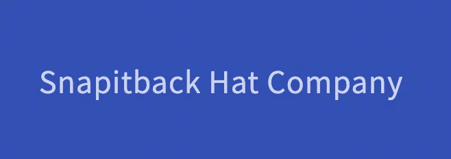 Snapitback Hat