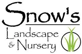 Snow's Landscape