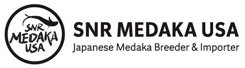 SNR Medaka USA