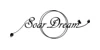 SoarDream