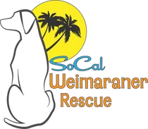 SoCal Weimaraner Rescue