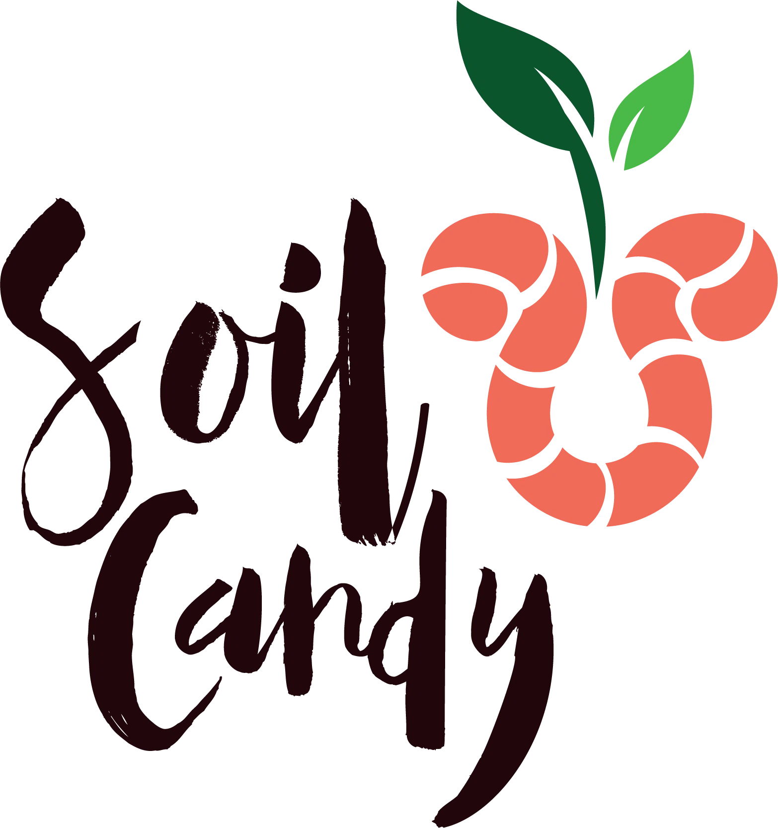 SoilCandy