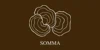 SOMMA