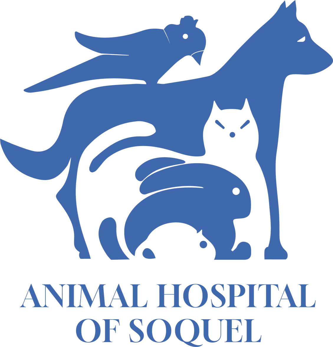 Animal Hospital of Soquel