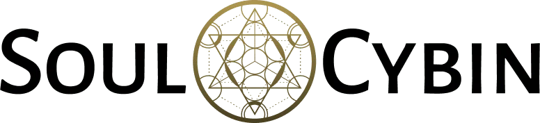 SoulCybin