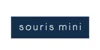 Souris Mini