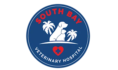 South Bay Veterinary Hospital