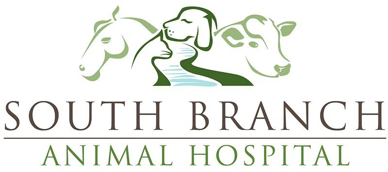 South Branch Animal Hospital