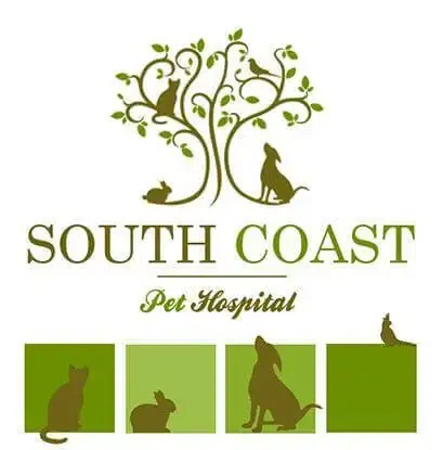 South Coast Pet Hospital