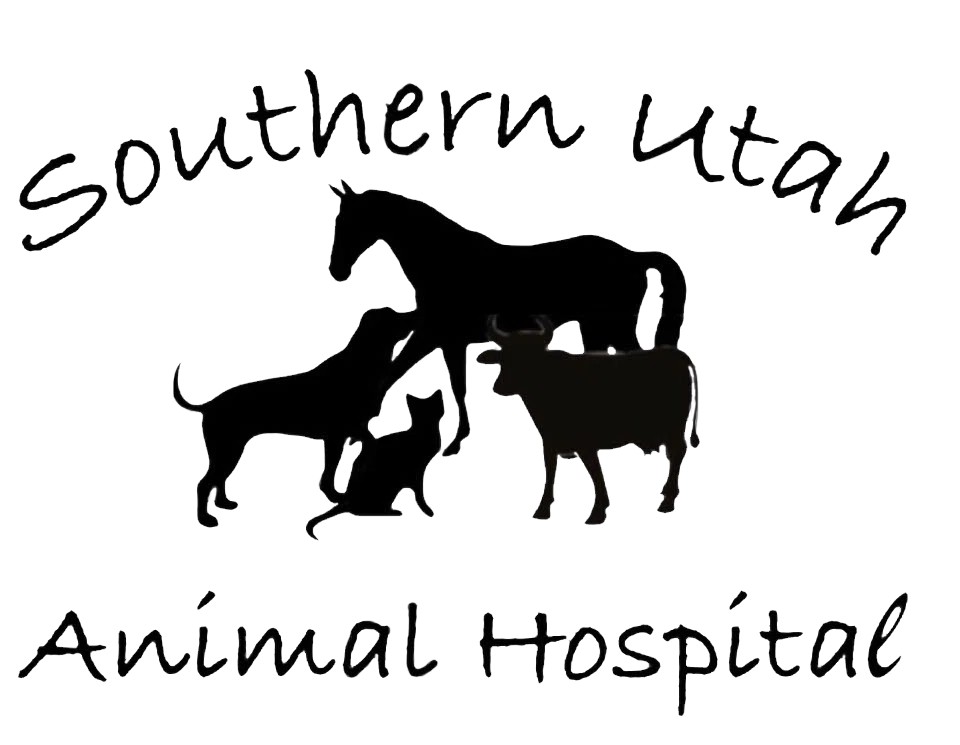 Southern Utah Animal Hospital