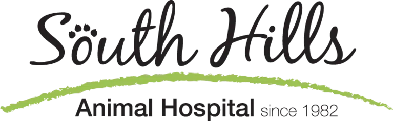 South Hills Animal Hospital