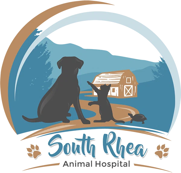 South Rhea Animal Hospital