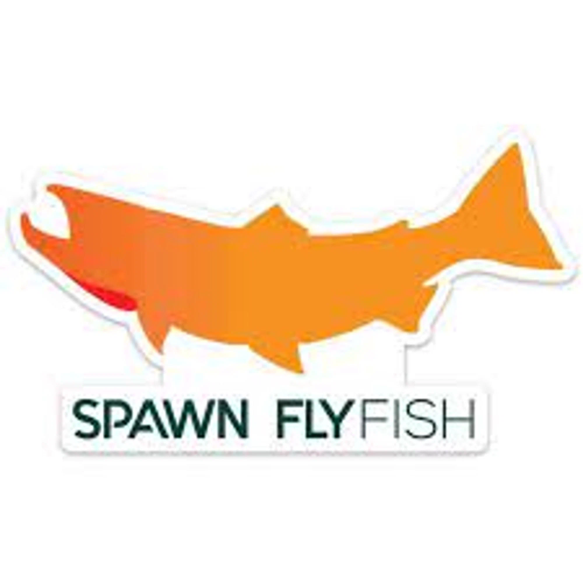 Spawn Fly Fish