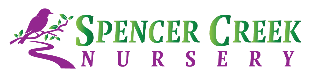 Spencer Creek Nursery