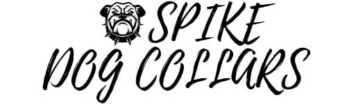 Spiked Dog Collars