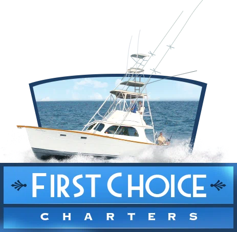 Sportfishing Florida Keys