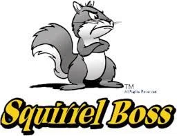 Squirrel Boss