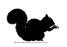 Squirrel Tacos