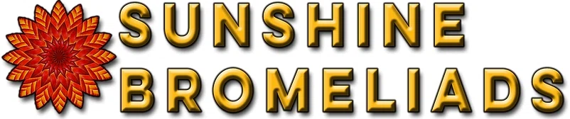 Sunshine Bromeliads