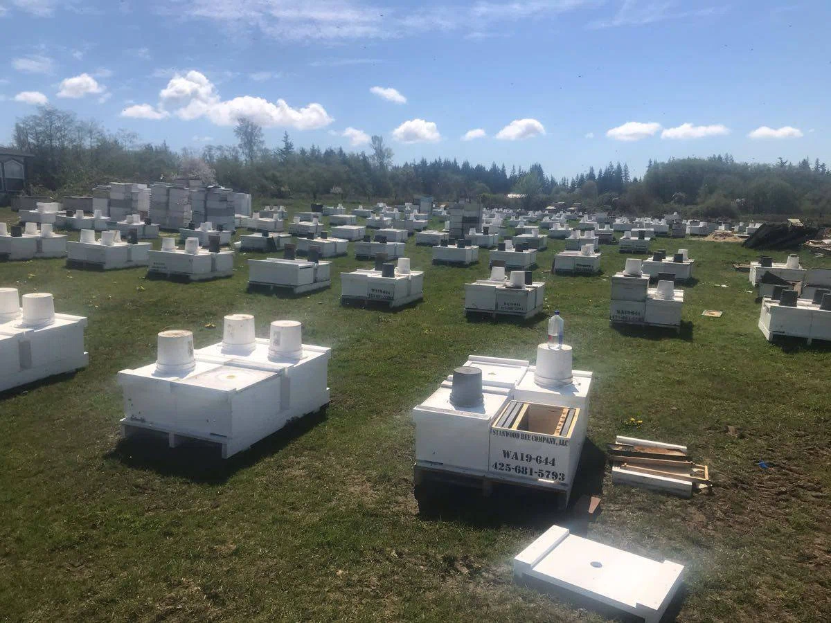 Stanwood Bee Company