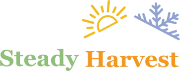 Steady Harvest 