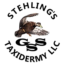 Stehling's Taxidermy