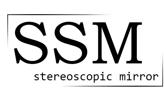 Stereoscopic Mirror