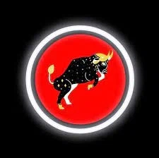 Stock Region Trading Network