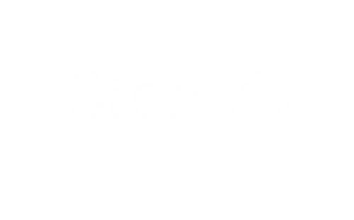 Stone Co