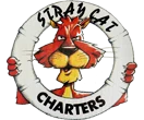 Stray Cat Charters