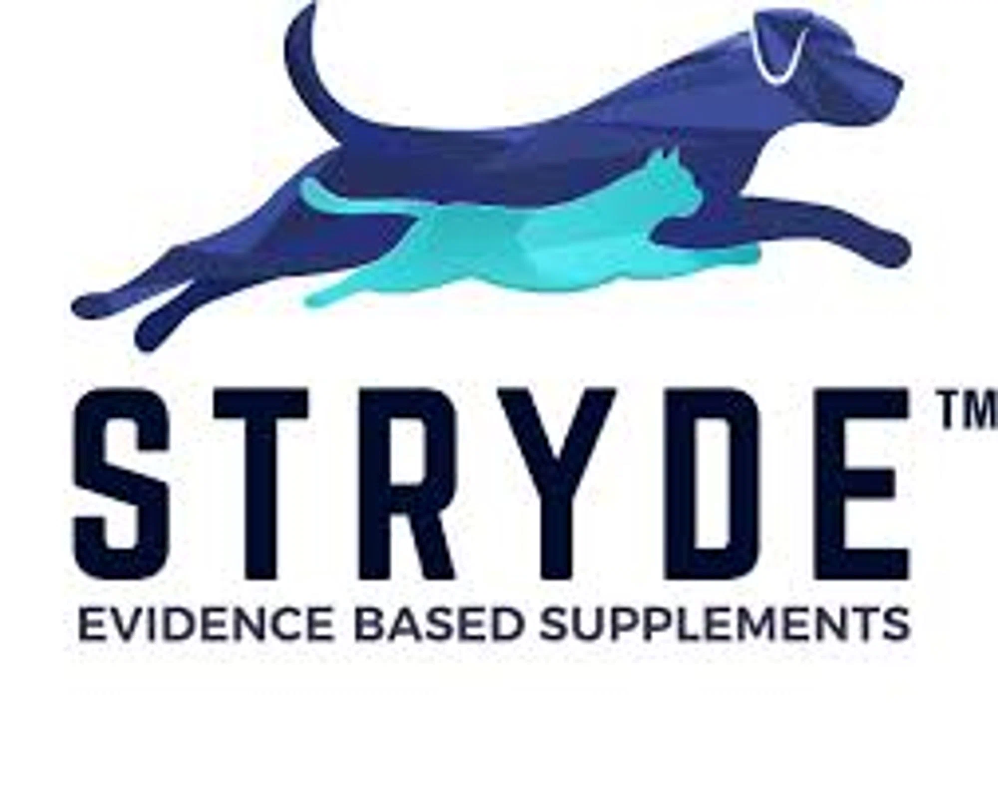 Stryde Supplement