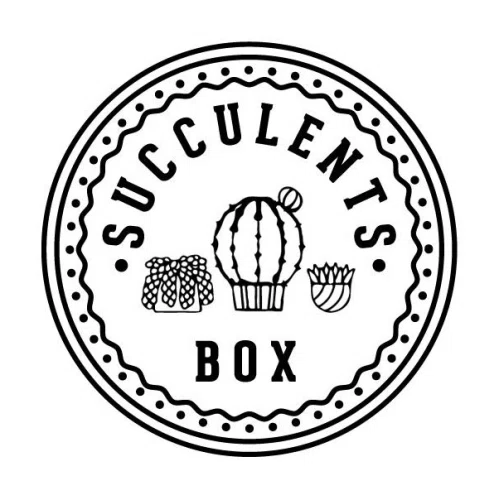 Succulents Box