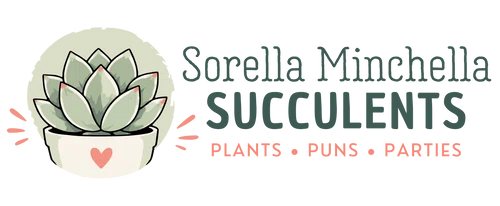 Succulents & Plant Gifts by Sorella Minchella