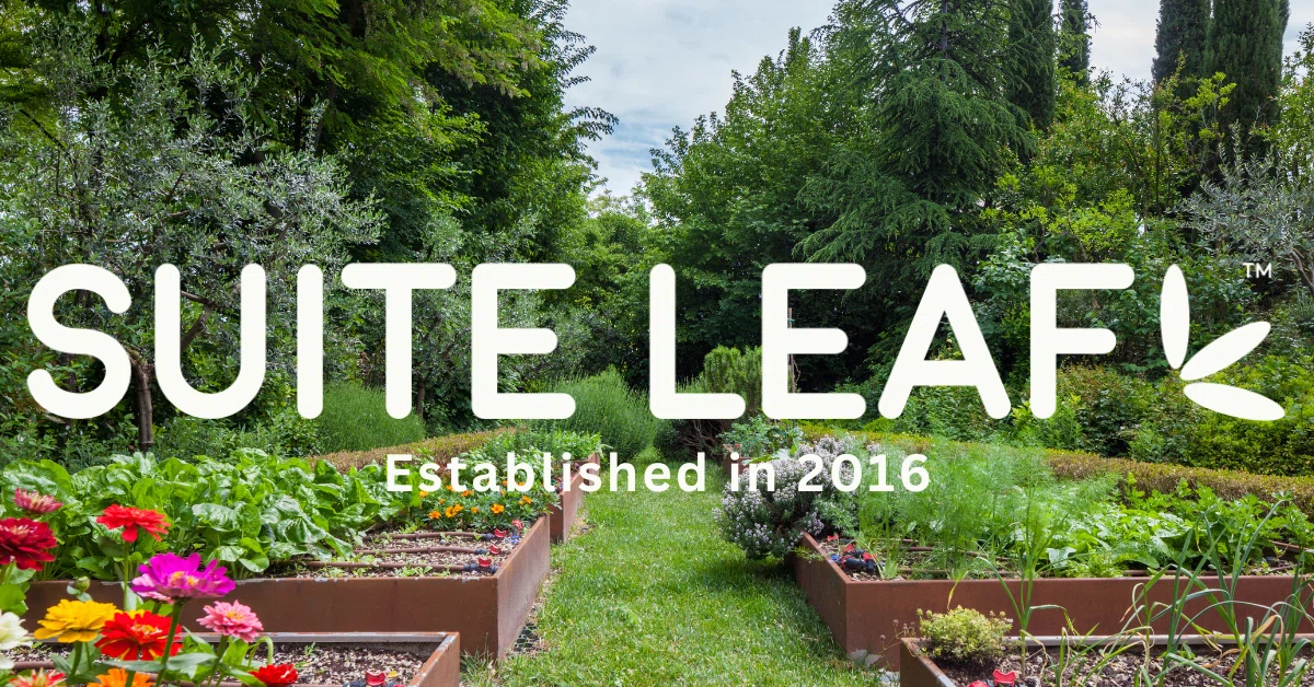 Suite Leaf