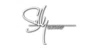 Sully Guitars