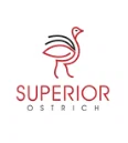 Superior Ostrich
