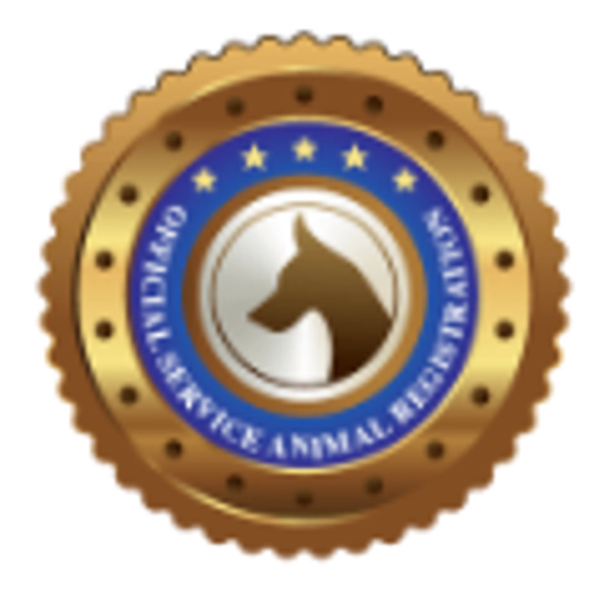 Support Dog Certification