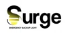 Surge Bulbs Coupons Surge Bulbs Coupons and Promo Code